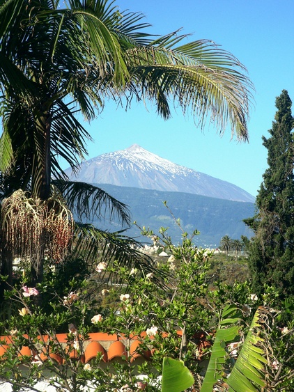 Blick auf den Teide