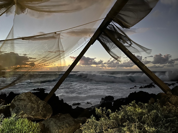 Impressionen der Umgebung