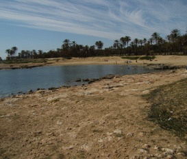 Ferienhaus Torrevieja
