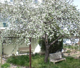 Gästezimmer Trakata