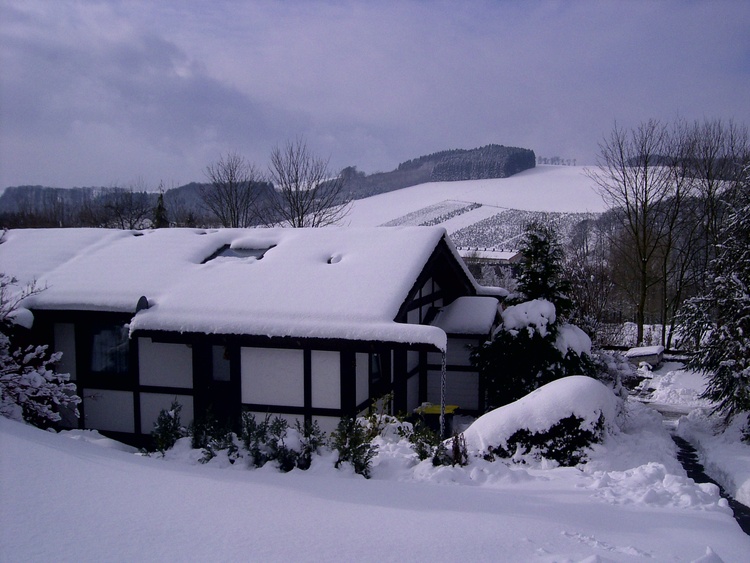 Ferienhaus HENNESEE  im Schnee