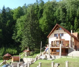 Ferienhaus Dimbul Morii/Saçele