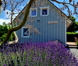 Ferienhaus Polchow