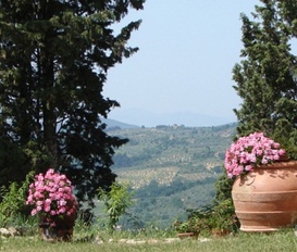 Appartment San Casciano in Val di Pesa