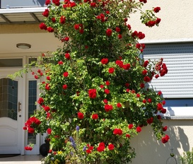 Ferienwohnung Winterbach