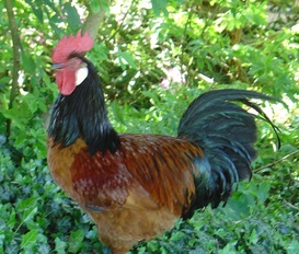 Ferienwohnung Kirchlinteln