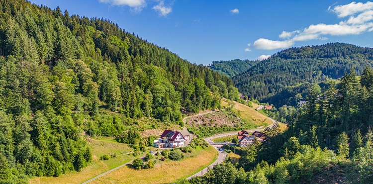 Lierbachtal mit Haus Niedermättle