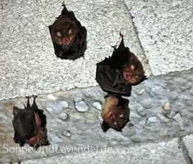 Ferienwohnung Naturpark Vercors- Drôme  Gigors