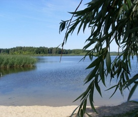 Ferienhaus Althüttendorf