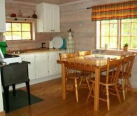 Ferienhaus Särvsjö