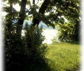 Ferienhaus Müschenbach