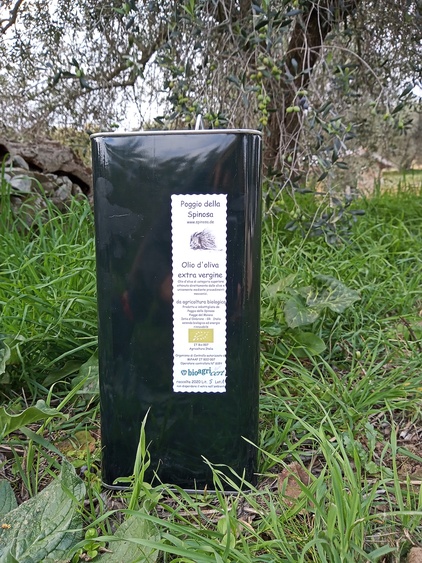 hofeigenes biologisches Olivenöl extravergine