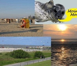 Ferienwohnung Nordddeich