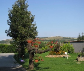 Appartment Zagyvaszanto