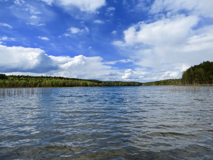 "Krummer See" - 10min durch den Wald gehen