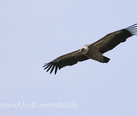 Ferienwohnung Naturpark Vercors- Drôme  Gigors
