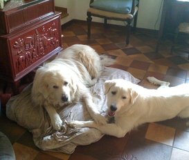 Ferienhaus Calice Ligure