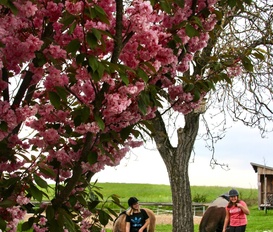 Ferienwohnung Untergriesbach