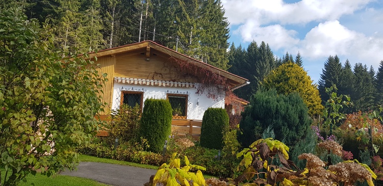 Einfahrt und Frontansicht des Hauses