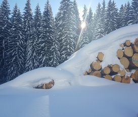 Ferienwohnung Berwang