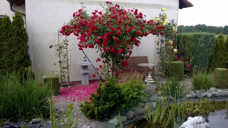 Blick vom Balkon in Garten mit Teich