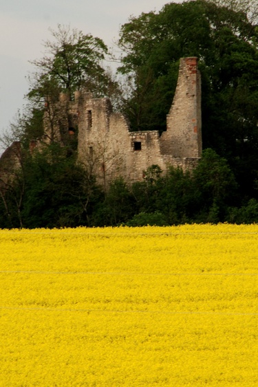 Ruine Hornstein, Spaziergang ab der Fewo