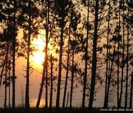 Ferienwohnung Juliusruh