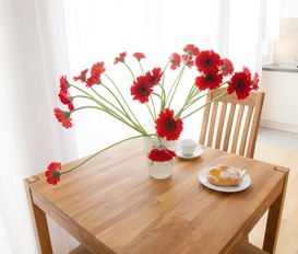 Ferienwohnung Baden bei Wien