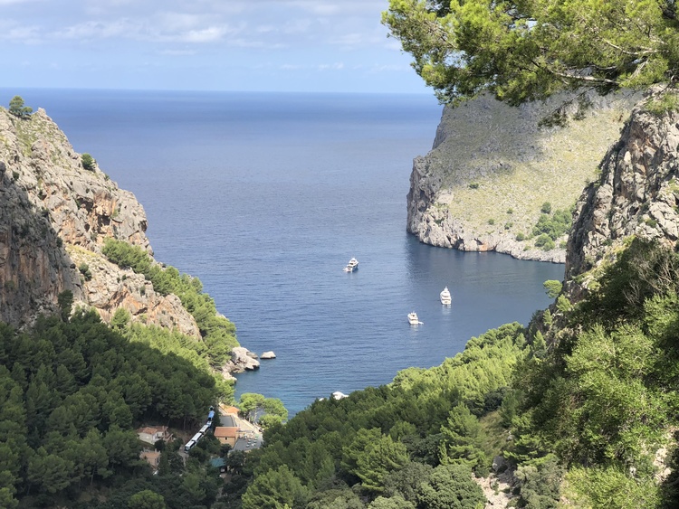 Buchtblick unweit von unserer Anlage