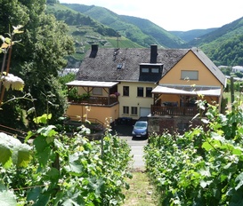 Ferienwohnung Zell-Mosel/Kaimt