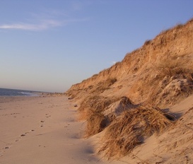 Ferienwohnung Hörnum