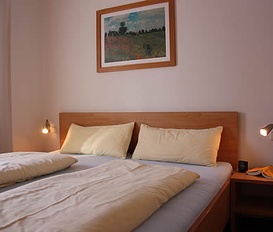 Holiday Apartment Wald im Pinzgau