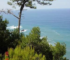 Ferienhaus Boaventura