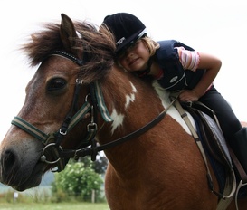 Ferienhaus Mönchneversdorf am Bungsberg
