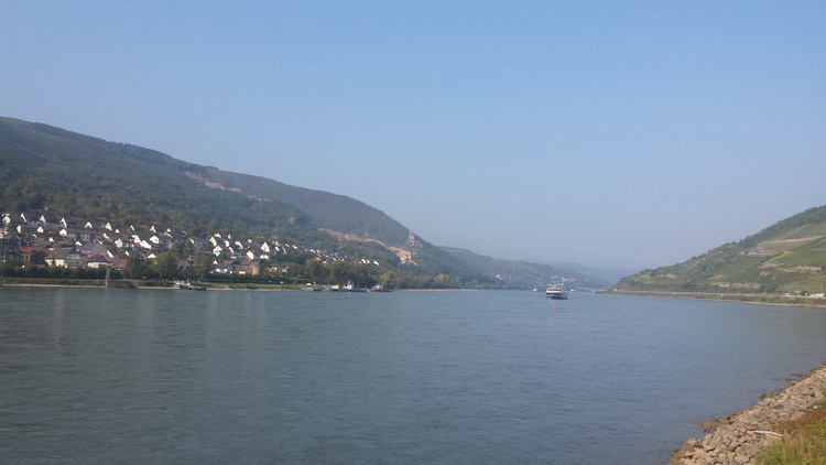 Ich hab den Vater Rhein in seinem Bett gesehn....