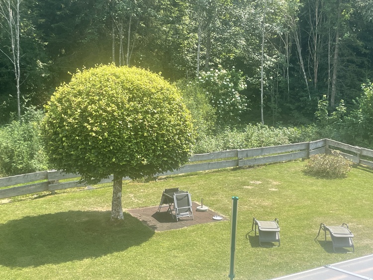 Blick aus der Wohnung