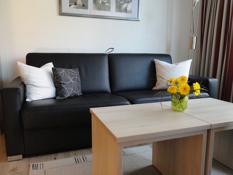 Sofa bzw. Schlafsofa im Wohnbereich