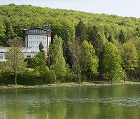 Hütte Am Sonder 37 Kleinbartloff/ OT Reifenstein