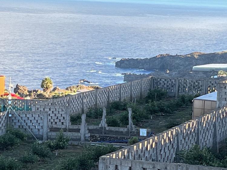 Blick auf die angrenzenden Plantagen