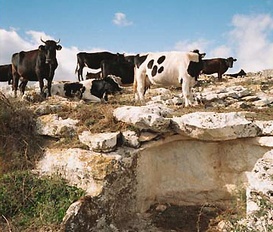 Ferienwohnung Modica