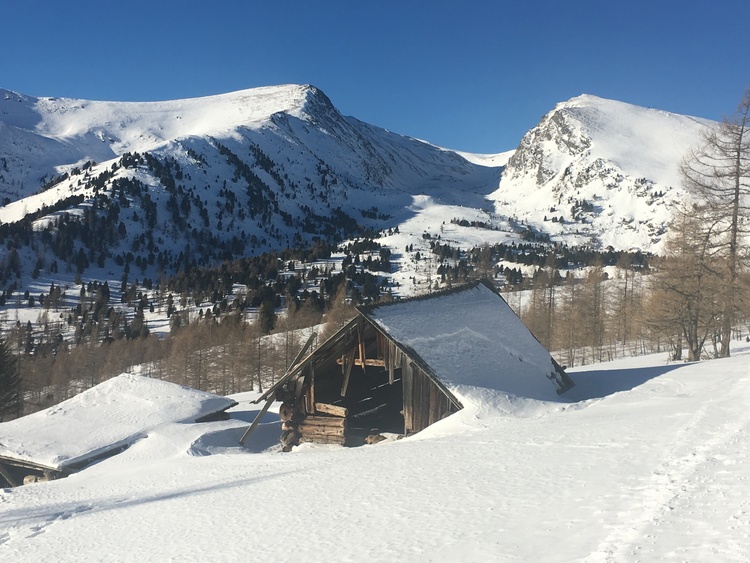 Falkertsee im Winter