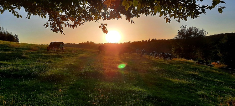 Sonnenuntergang am Häuschen