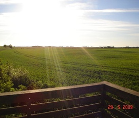 Ferienwohnung St. Peter-Ording
