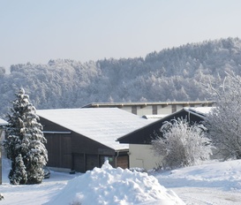 Ferienhaus Willingen