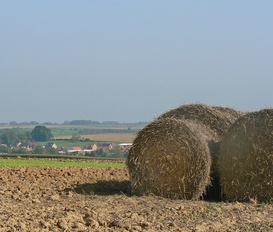 Bauernhof Saint-Martin-sur-Ecaillon 