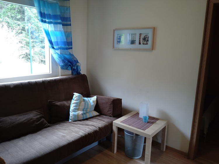 Fernsehzimmer mit Schlafsofa