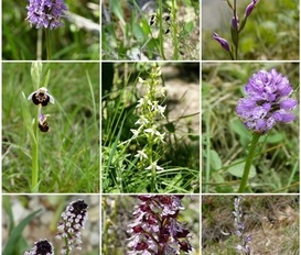 Ferienwohnung Naturpark Vercors- Drôme  Gigors