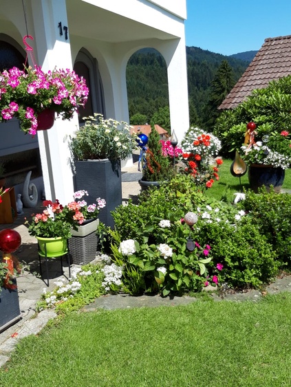 Die Blüten am Hauseingang