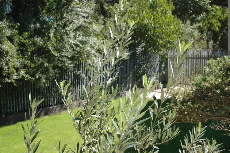 Messe-Apartments-Nürnberg