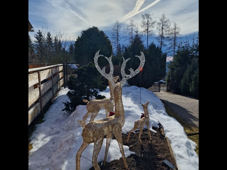 Winter Wonderland Garten